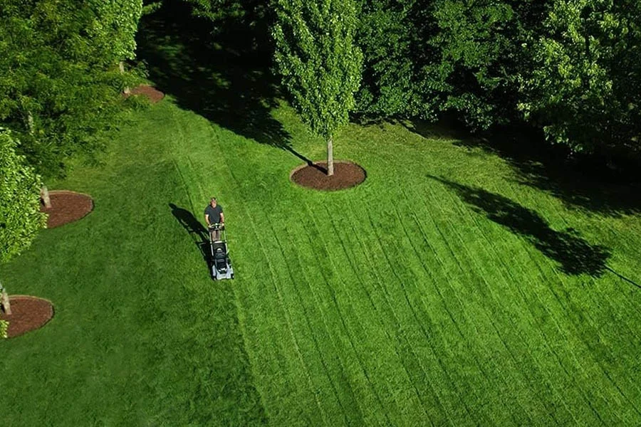 best cordless lawnmower